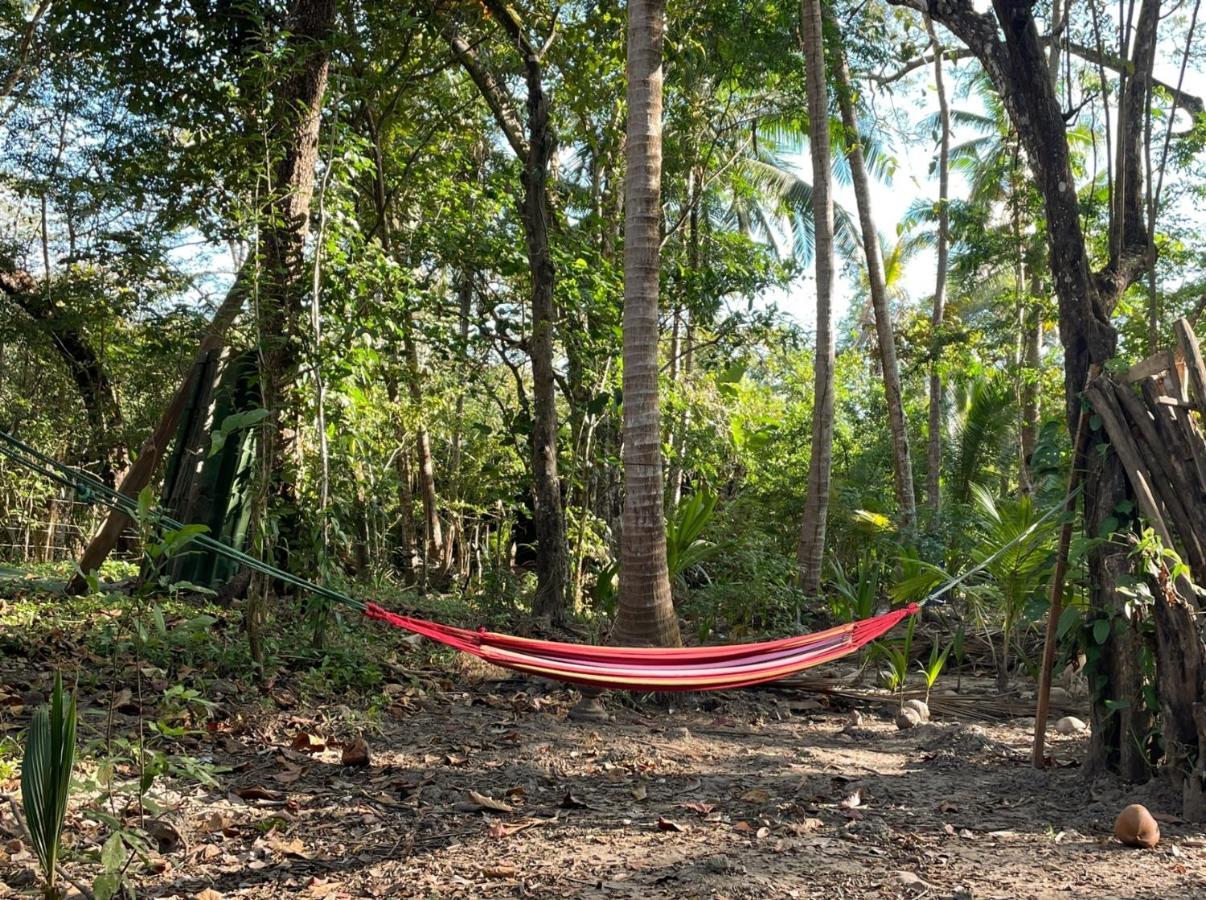 Fully Furnished Family Jungle Tent, Latino Glamping Paquera Hotel Exterior photo