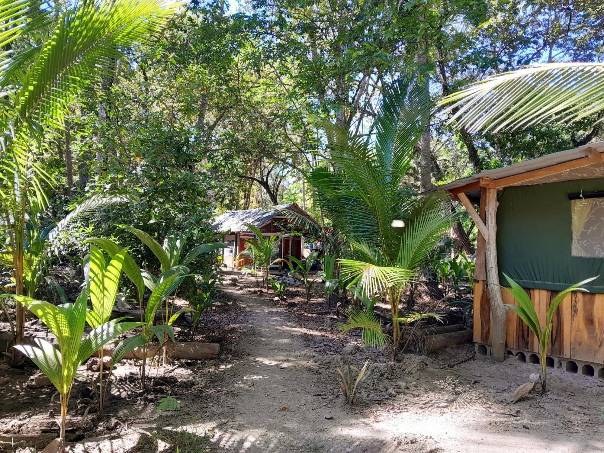 Fully Furnished Family Jungle Tent, Latino Glamping Paquera Hotel Exterior photo