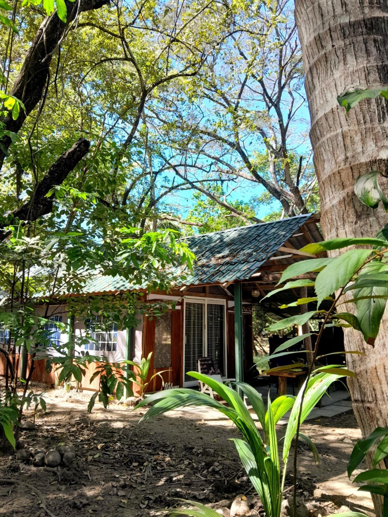 Fully Furnished Family Jungle Tent, Latino Glamping Paquera Hotel Exterior photo