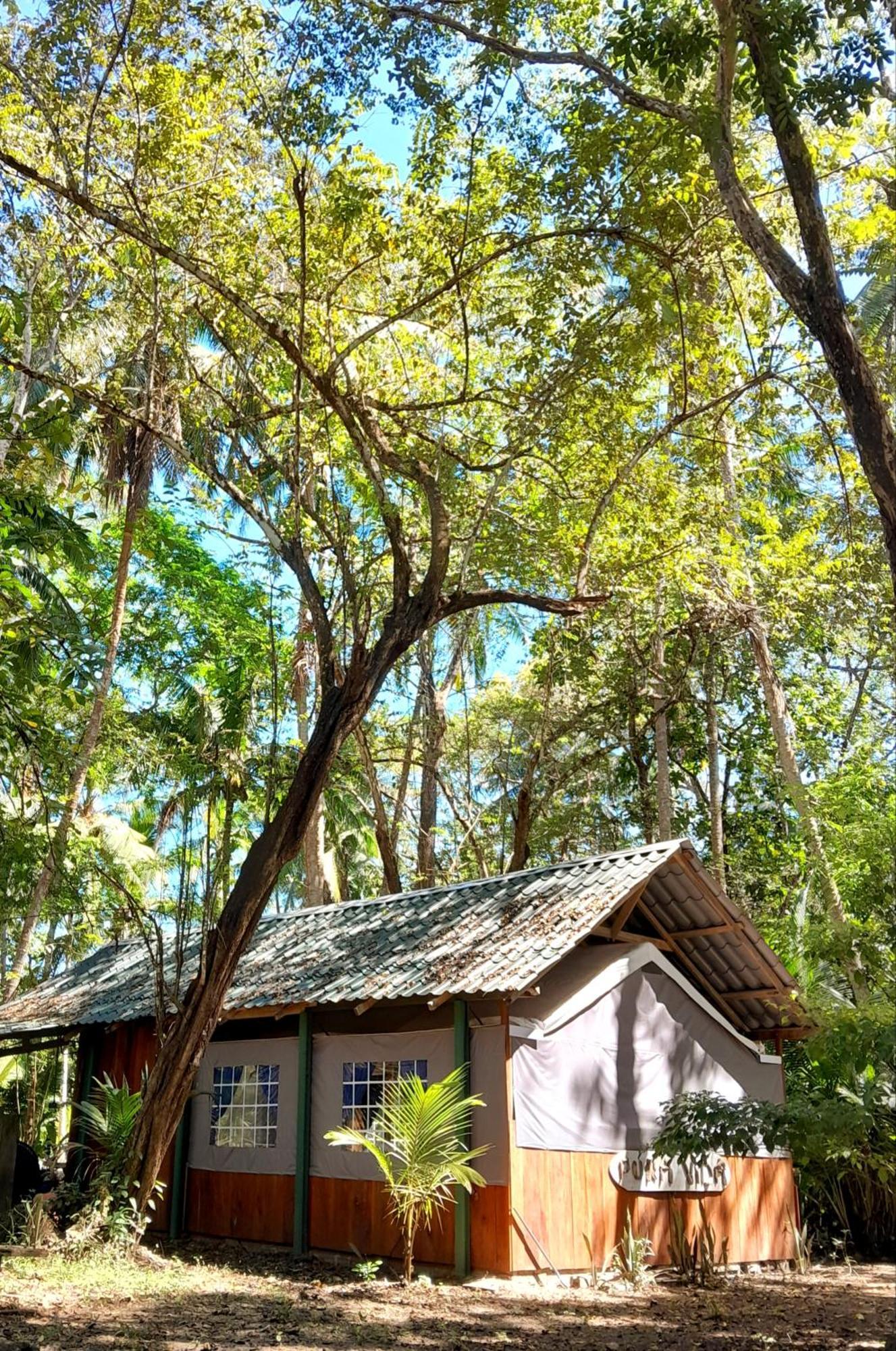 Fully Furnished Family Jungle Tent, Latino Glamping Paquera Hotel Exterior photo