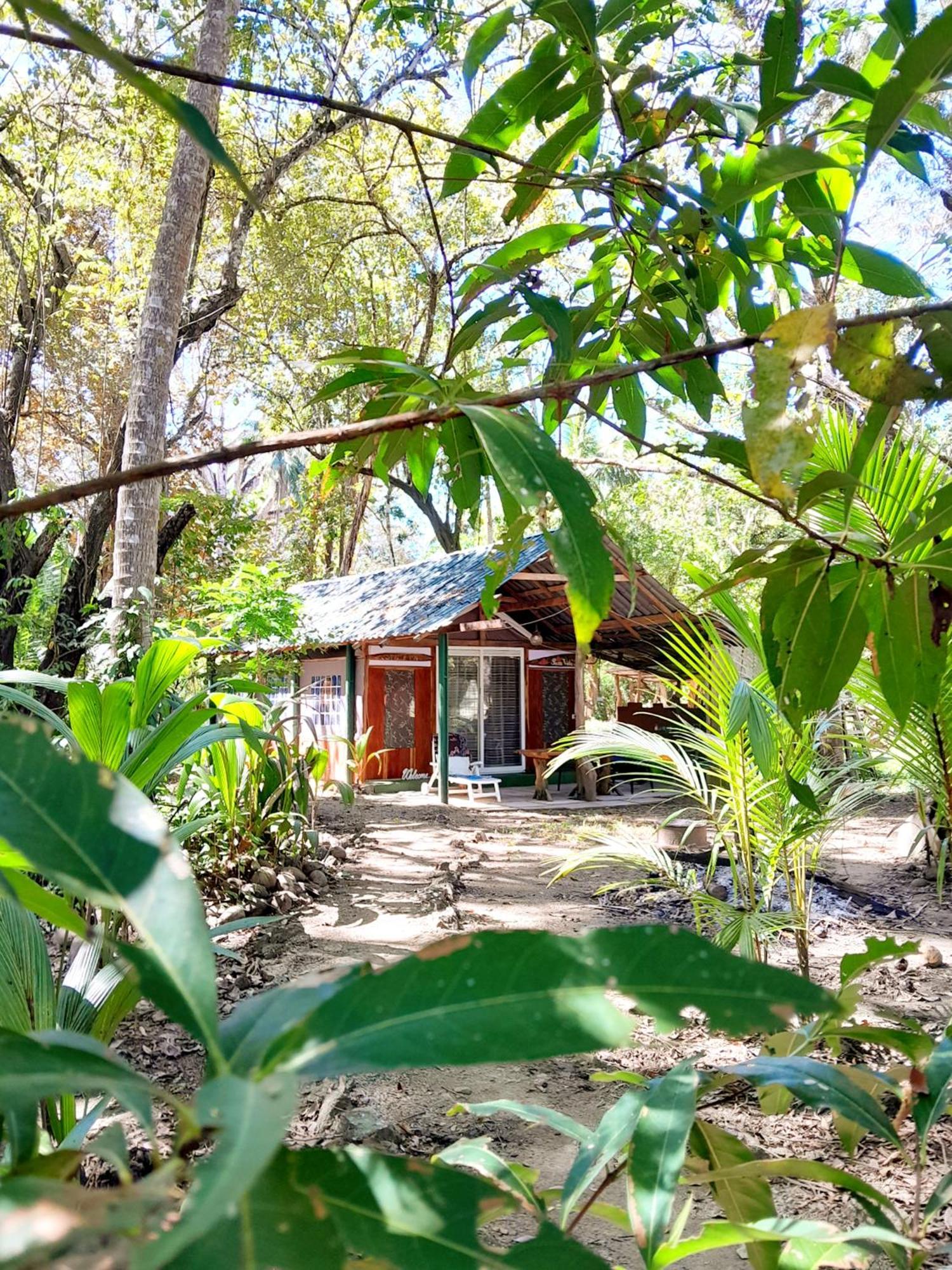 Fully Furnished Family Jungle Tent, Latino Glamping Paquera Hotel Exterior photo