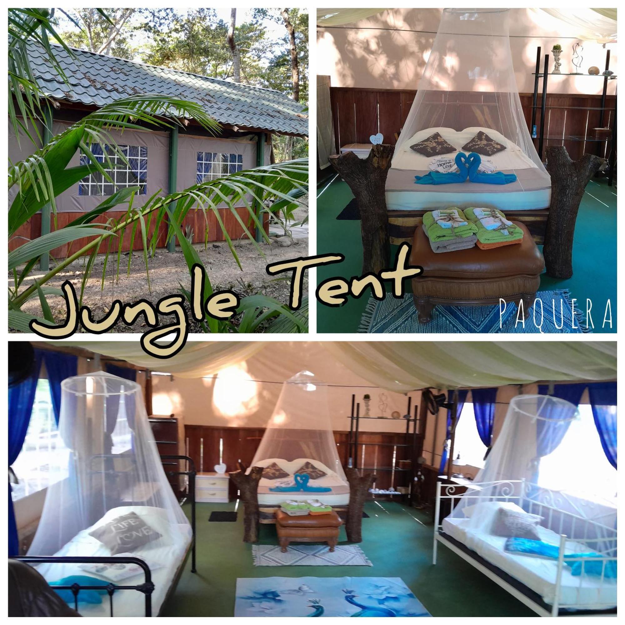 Fully Furnished Family Jungle Tent, Latino Glamping Paquera Hotel Exterior photo